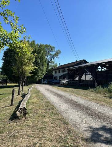 Bella dimora equestre In vendita Haut-Rhin