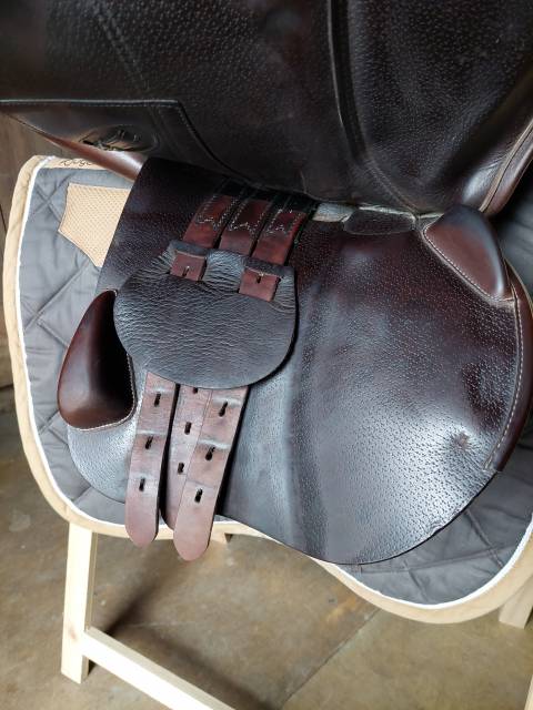 Sella da salto ostacoli Equipe  17.5" - 2019