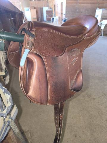 Bareback  &Eacute;volution cross  15.5" - 2024