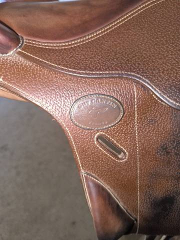 Bareback  &Eacute;volution cross  15.5" - 2024