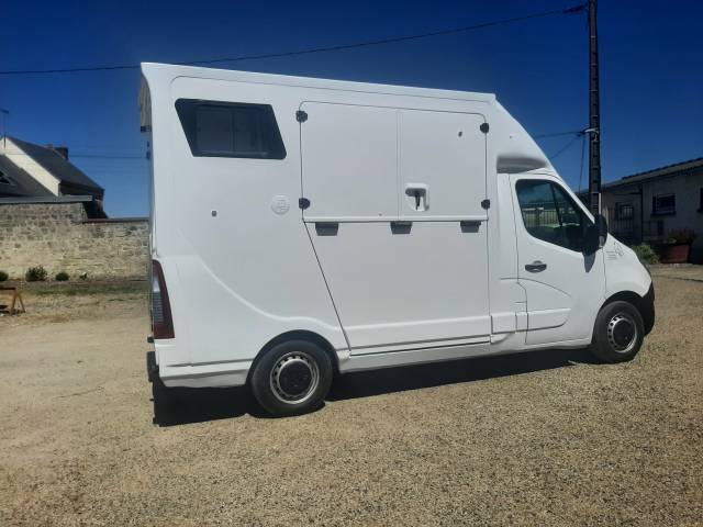 Van per Cavalli Renault Master 2015 Occasione