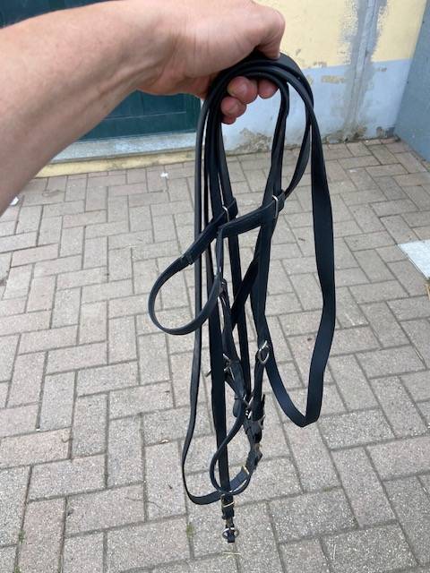Selle monta inglese + varie
