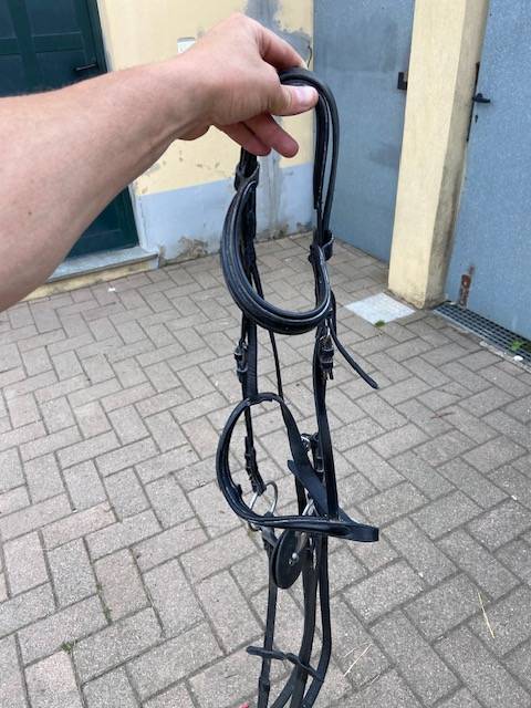 Selle monta inglese + varie