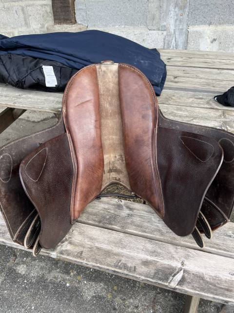Sella da salto ostacoli  Guy cantin &eacute;volution jumping 15.5" - 2019
