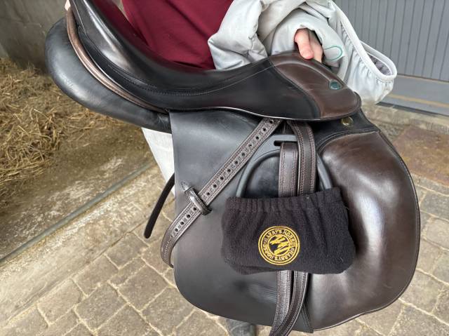 Sella mista Prestige Italia GP2 17" - 2016