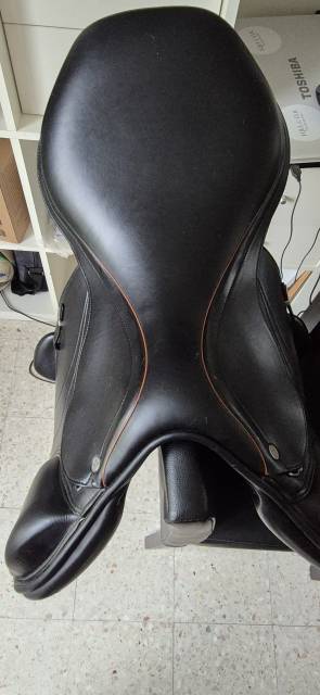Sella mista Equipe  17.5" - 2024