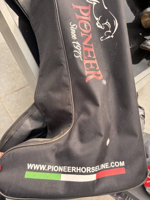  Pioneer Occasione