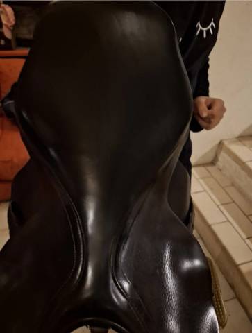 Sella mista Forestier  17" - 2019