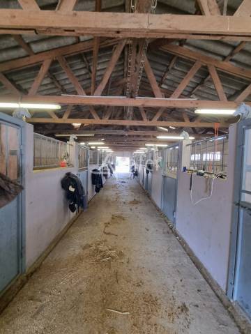 Propriet&agrave; equestre In vendita H&eacute;rault