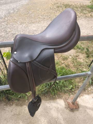 Sella mista Arion  17" - 2021