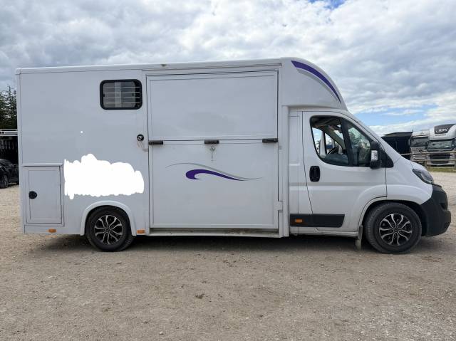 Van per Cavalli Fiat  Ducato 2025 Occasione