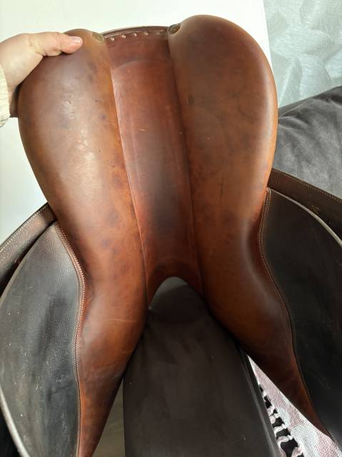 Sella da salto ostacoli Butet  17.5" - 2019
