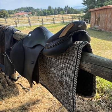 Sella mista Prestige Italia  17" - 2023