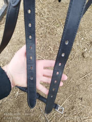 Sella da dressage Wintec  17.5" - 2020