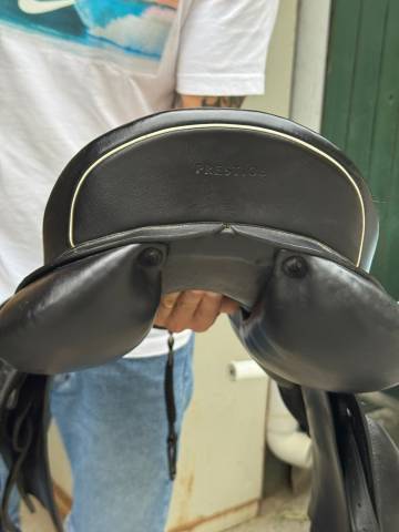 PRESTIGE HAPPY PONY SEGGIO 15
