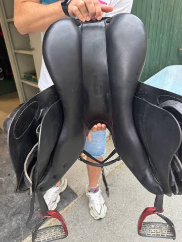 PRESTIGE HAPPY PONY SEGGIO 15