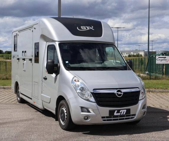 Van per Cavalli STX STX 2017 Occasione