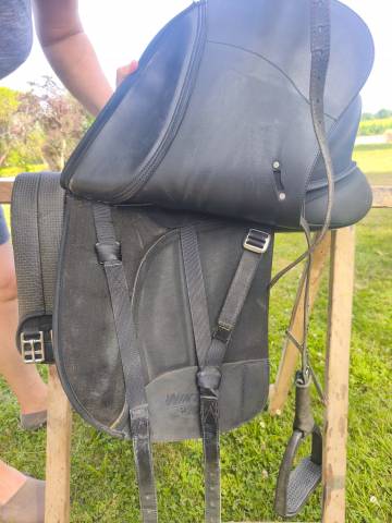 Sella da dressage Wintec  18" - 2007