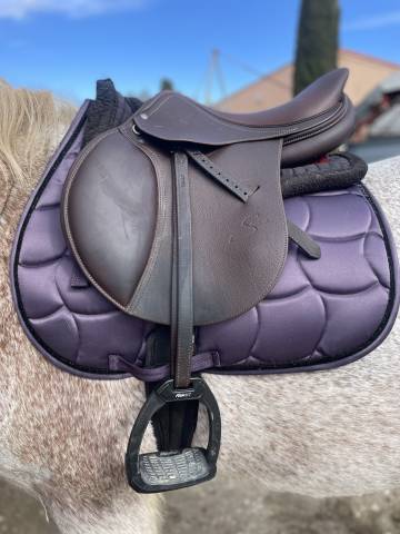 Sella mista Antar&egrave;s  17.5" - 2023