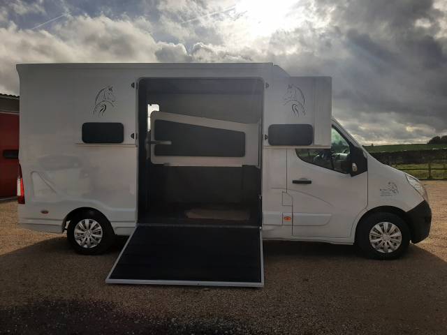 Van per Cavalli Renault Master 2019 Occasione
