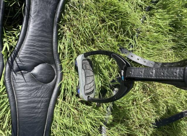 Sella da dressage Childeric  17.5" - 2018