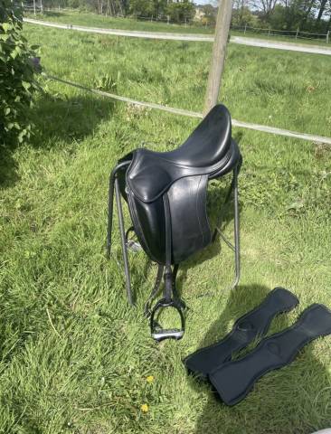 Sella da dressage Childeric  17.5" - 2018