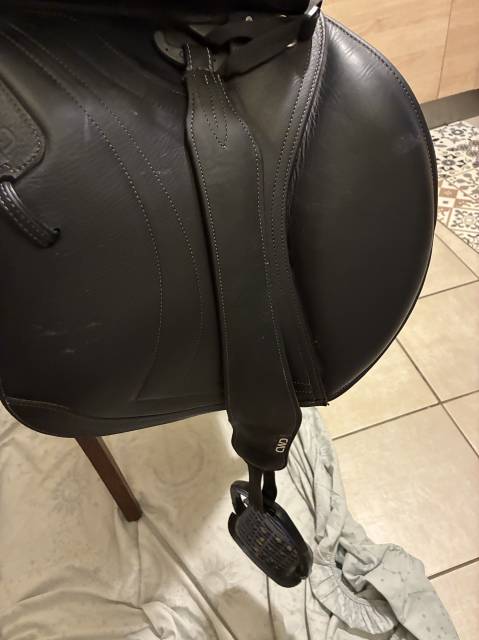 Sella mista CWD  17.5" - 2024