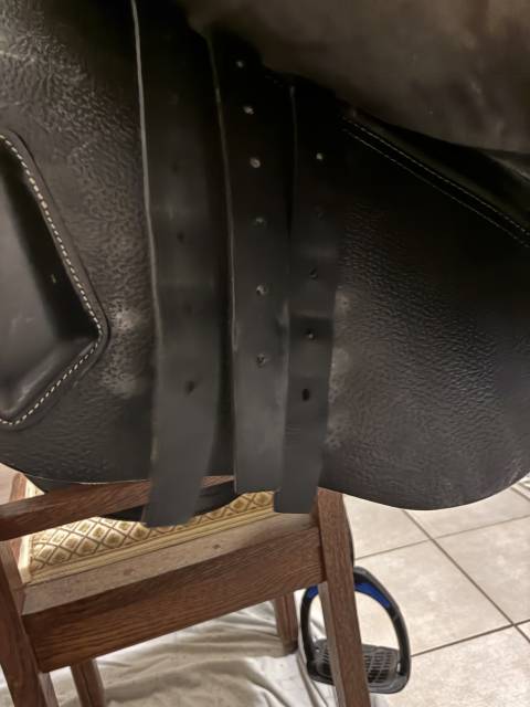 Sella mista CWD  17.5" - 2024