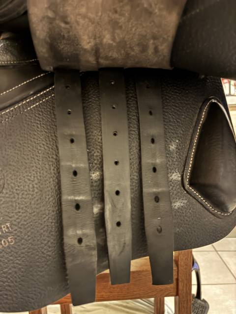 Sella mista CWD  17.5" - 2024