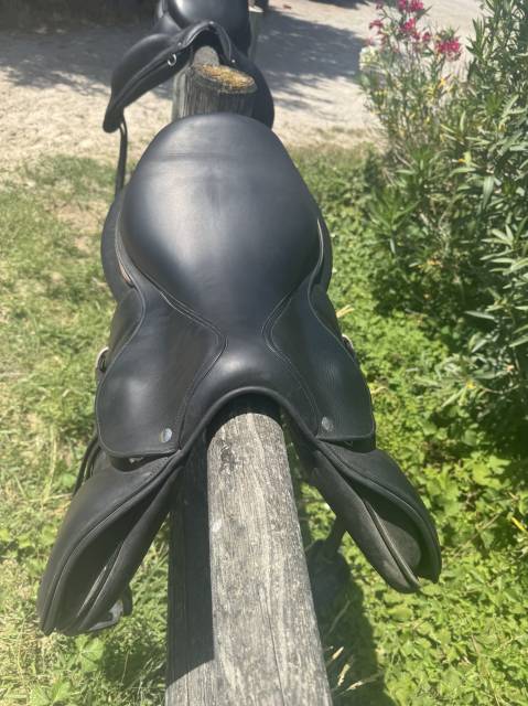 Sella da salto ostacoli Forestier  17.5" - 2024