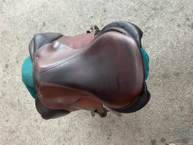 Sella da salto ostacoli Forestier  17.5" - 2019