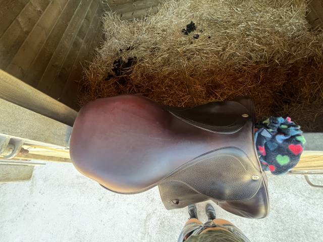 Sella da salto ostacoli CWD  17" - 2015