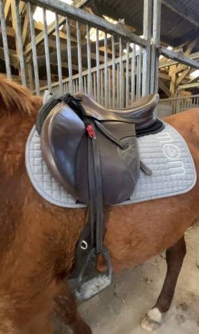 Sella mista CWD  17.5" - 2021