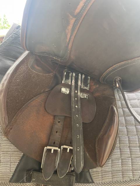 Sella mista CWD  17.5" - 2021