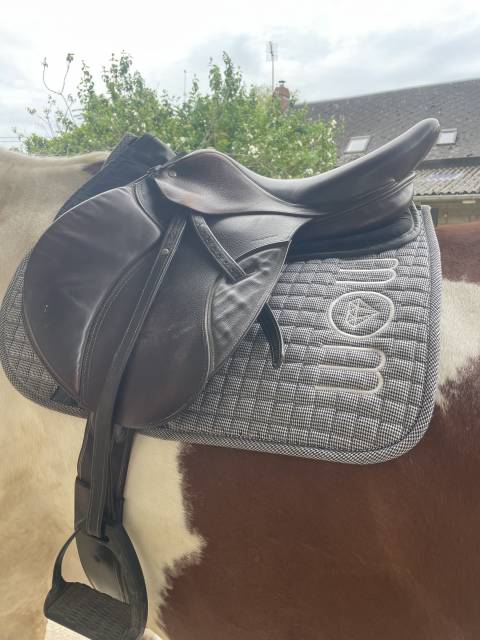 Sella mista CWD  17.5" - 2021