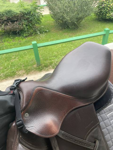 Sella mista CWD  17.5" - 2021