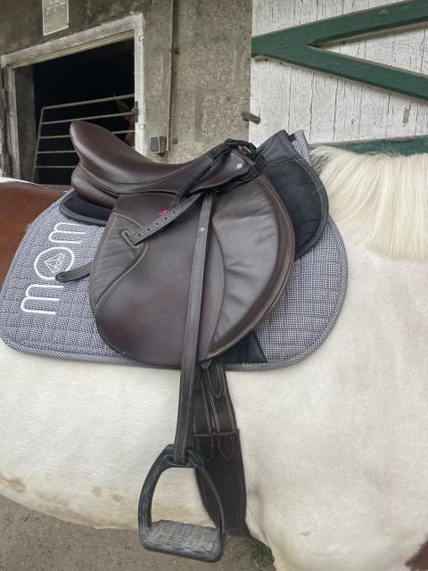 Sella mista CWD  17.5" - 2021