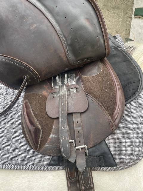 Sella mista CWD  17.5" - 2021