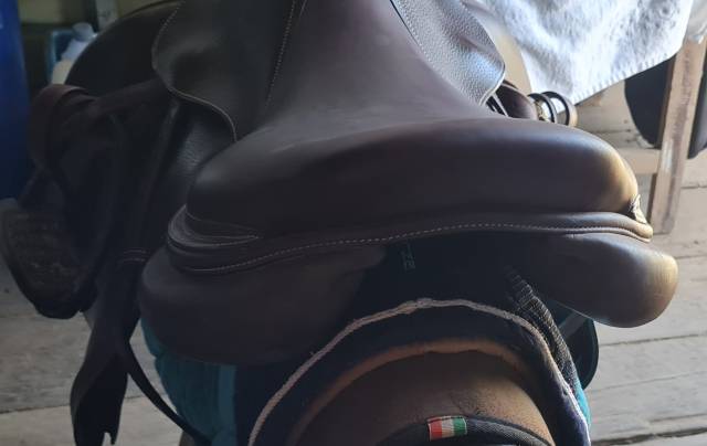 Sella mista Forestier  18.5" - 2024