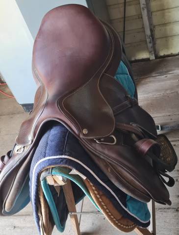 Sella mista Forestier  18.5" - 2024