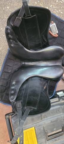 Sella equipe dressage 