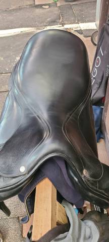 Sella equipe dressage 
