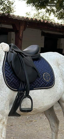 Sella mista Prestige Italia  17" - 2025