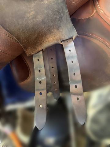 Sella da salto ostacoli Butet  17.5" - 2020