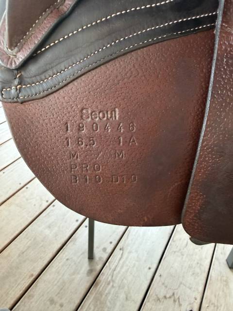 Sella mista Forestier  16.5" - 2019