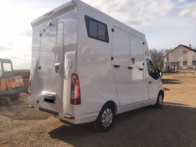Van per Cavalli Renault Master 2017 Occasione