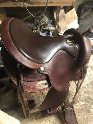 Sella western   17" - 2022