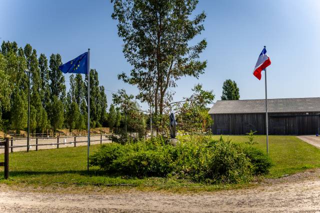 Centro di stagione cavallo In vendita Paris