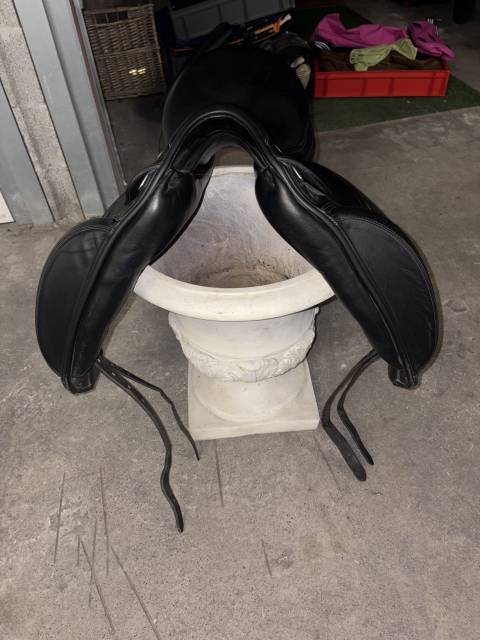 Sella da dressage Prestige Italia Passion K 17" - 2020