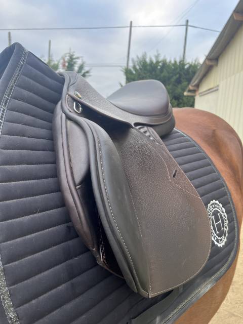 Sella da salto ostacoli Prestige Italia  17.5" - 2021